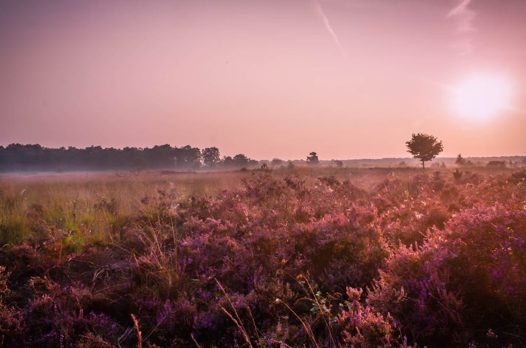 Overijssel